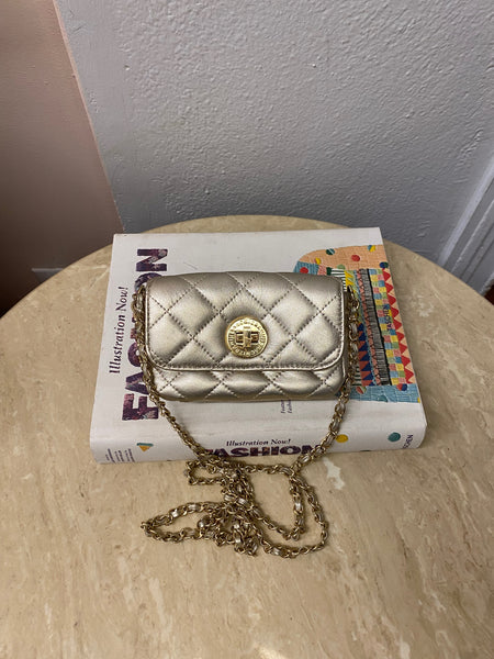 NIB Isaac Mizrahi Mini Bag